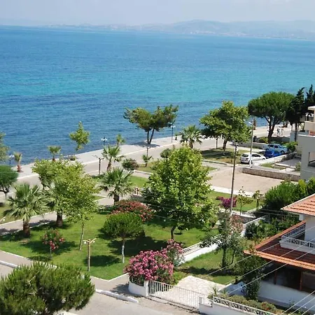 Cidihan 3*