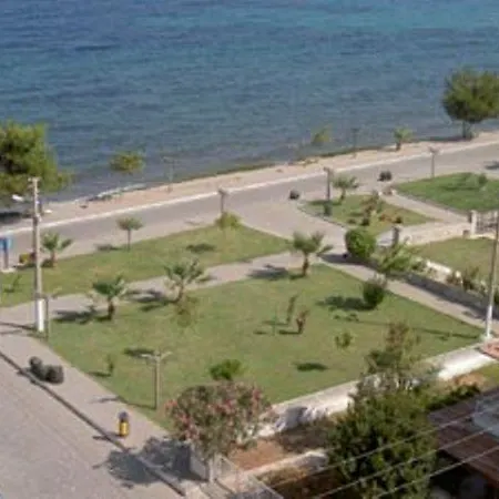 Cidihan Guzelcamli